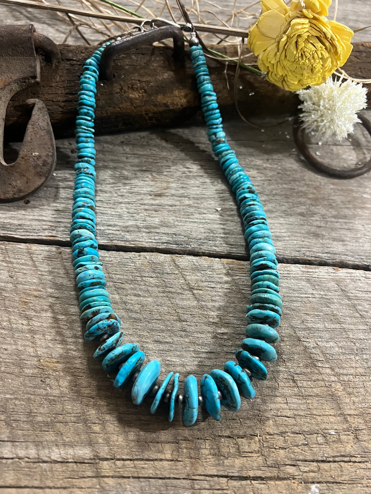 Large Turquoise Graduated Disc Bead Necklace
