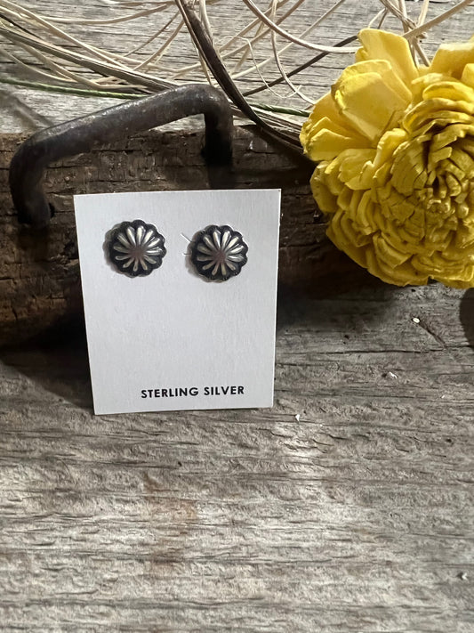 Small Stud Earrings