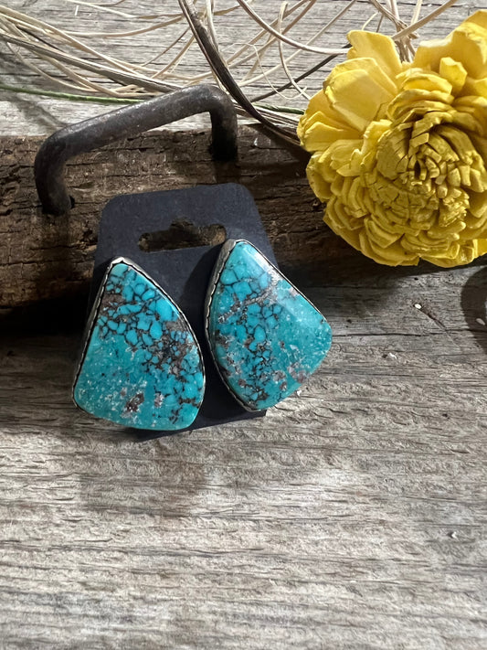 Large Turquoise Earrings