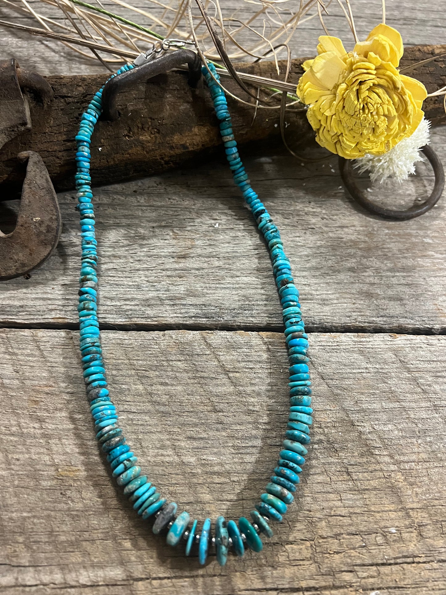 Small Graduated Rondell Necklace